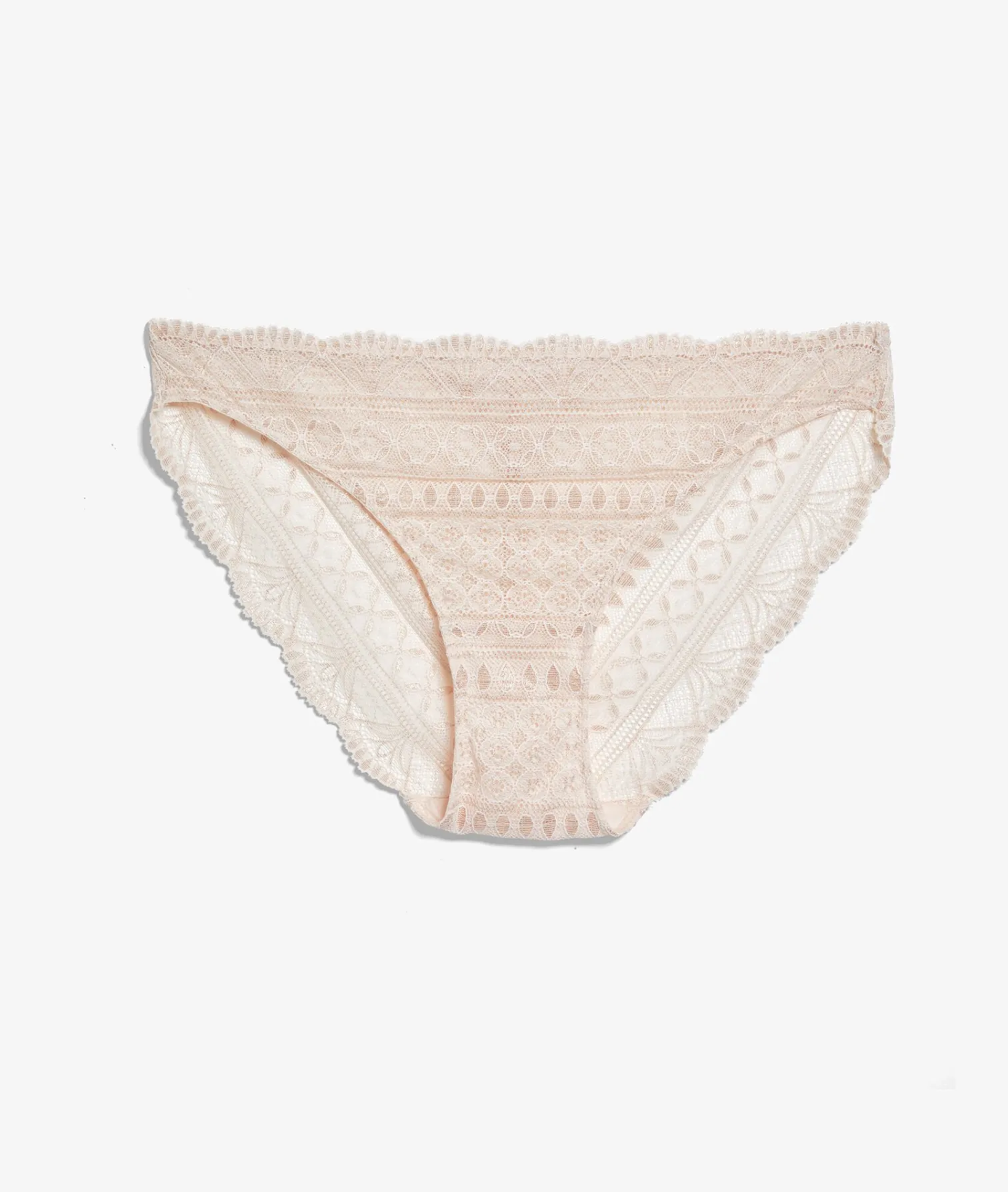 Etam Lace Brief ROSEPOUDRE Shop